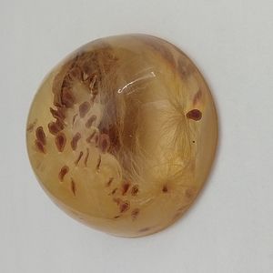 Vintage Milkweed Seed Pod Paperweight